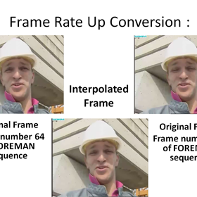 My Past Work: True Motion Estimation